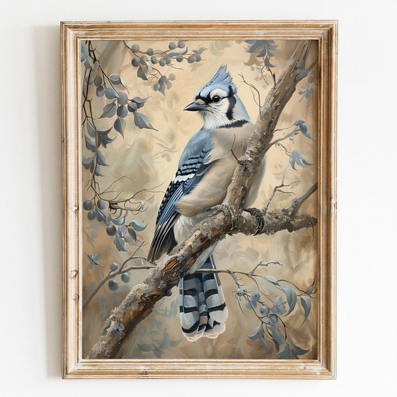 Vintage Blue Jay Bird Art Print, Rustic Farmhouse