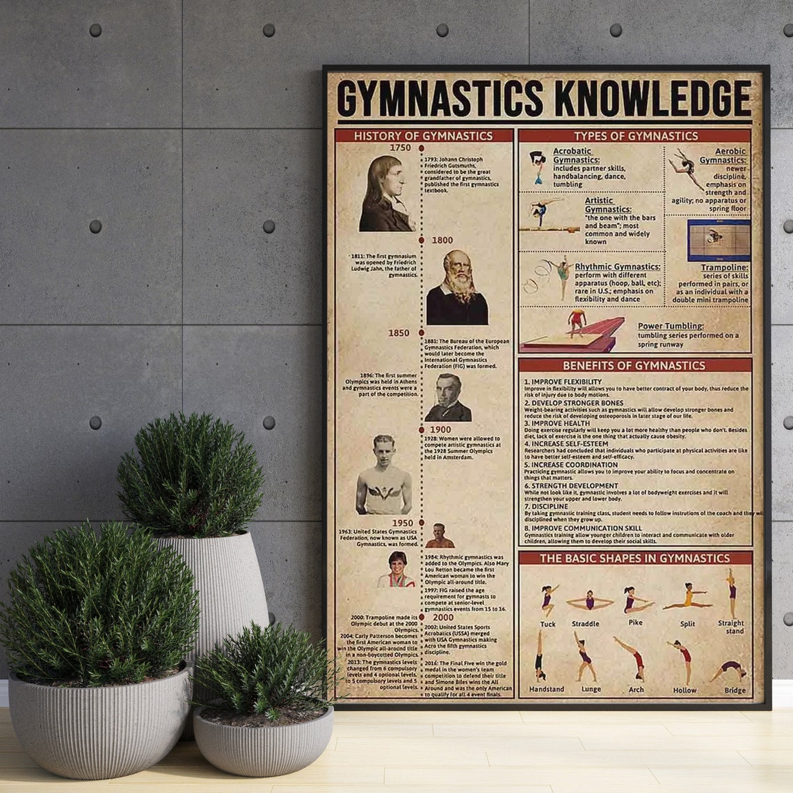 Gymnastics Knowledge History Types Benefits Shapes Chart Poster - Image 3
