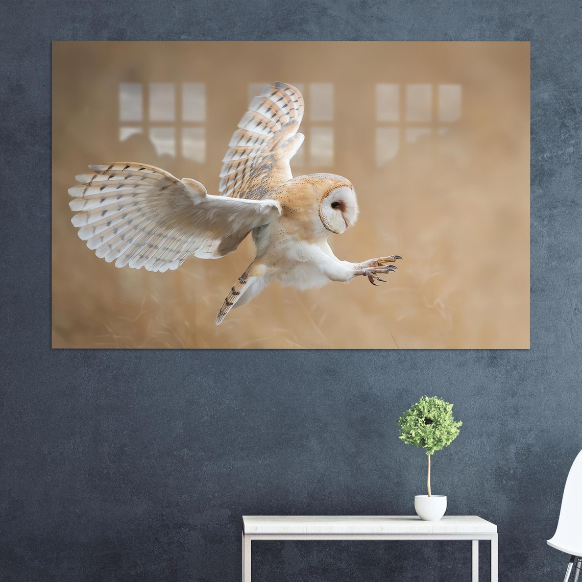 Majestic Barn Owl In Flight Spread Wings Golden Field Poster