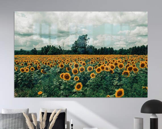 Sunflower Field Golden Blooms Summer Meadow Photography Poster