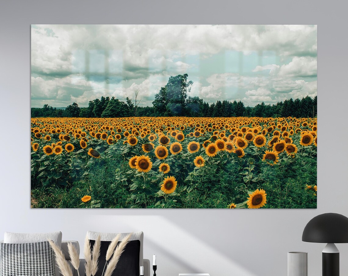 Sunflower Field Golden Blooms Summer Meadow Photography Poster