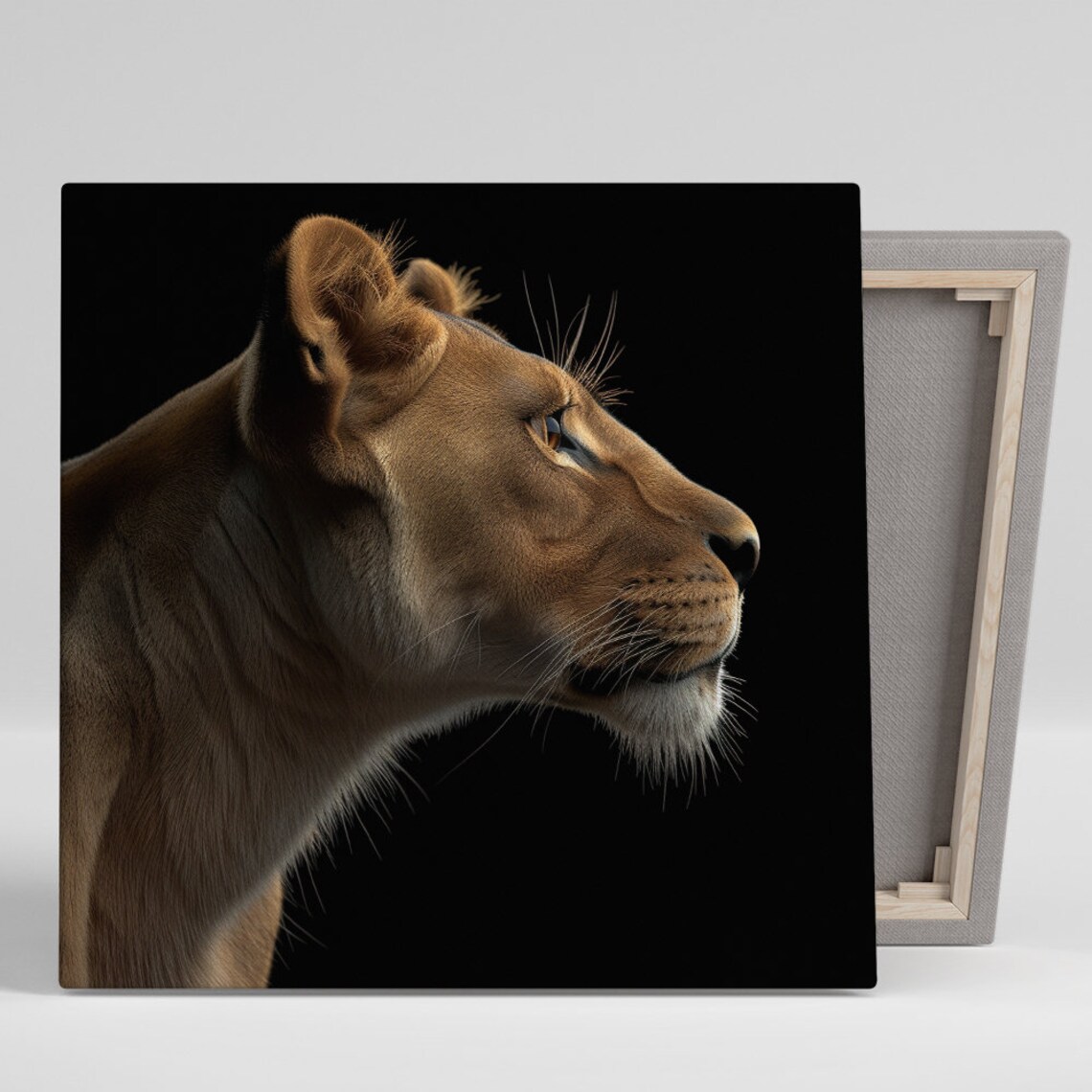 Lioness Profile Portrait Black Background Golden Realistic Wild Cat Poster