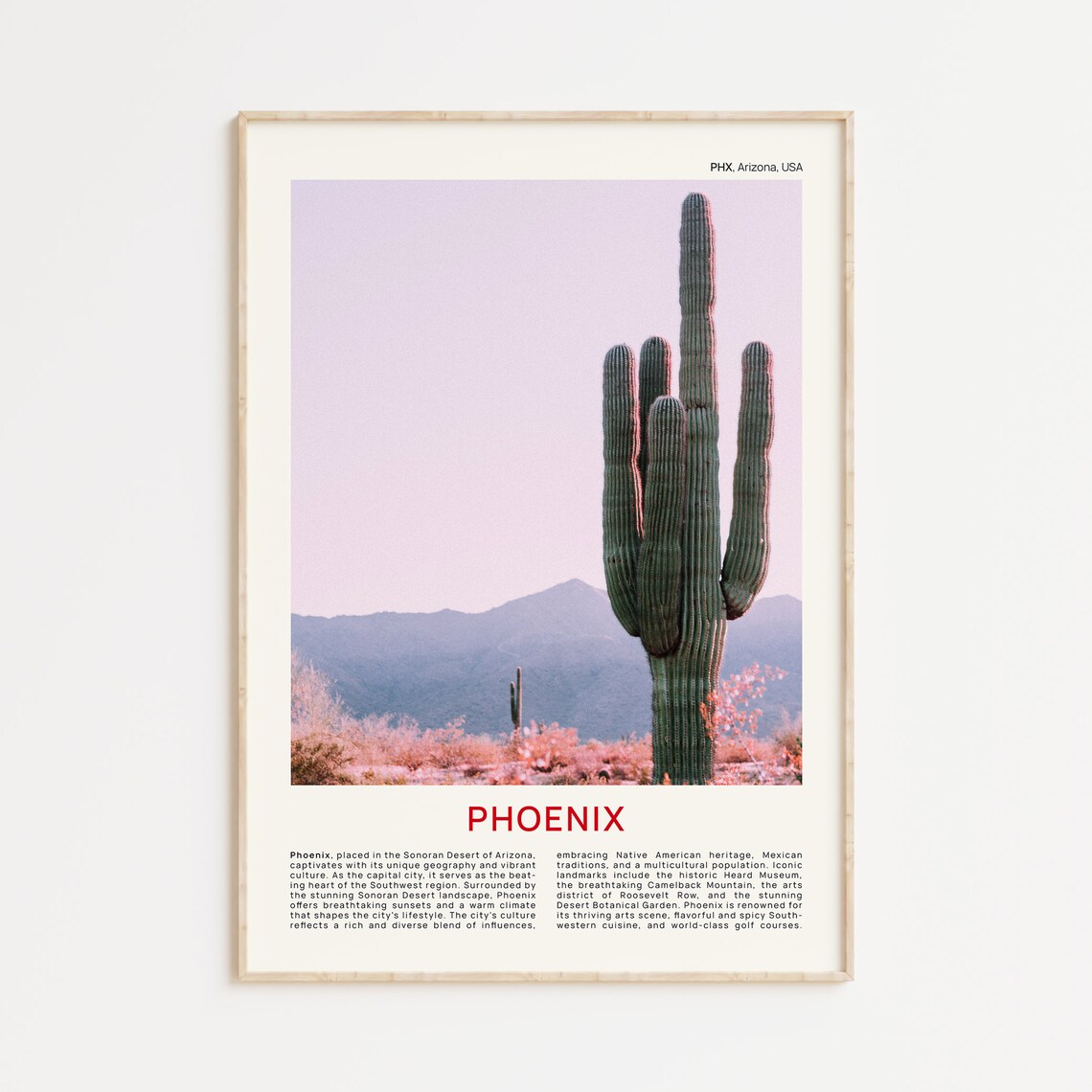 Phoenix Arizona Desert Saguaro Cactus Film Photo Travel Poster