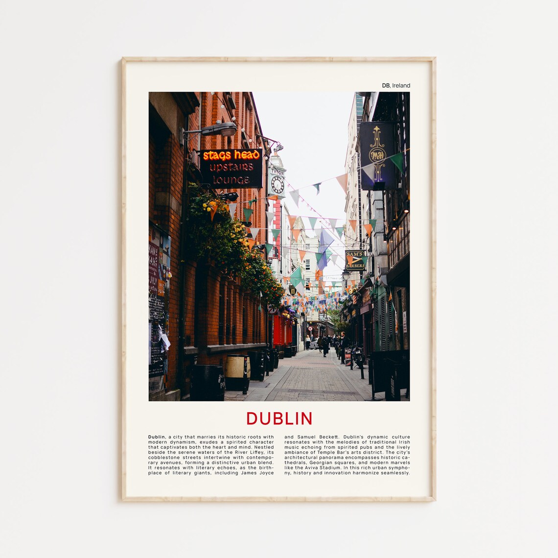 Dublin Temple Bar Street Pub Signs Film Photo Ireland Travel Poster