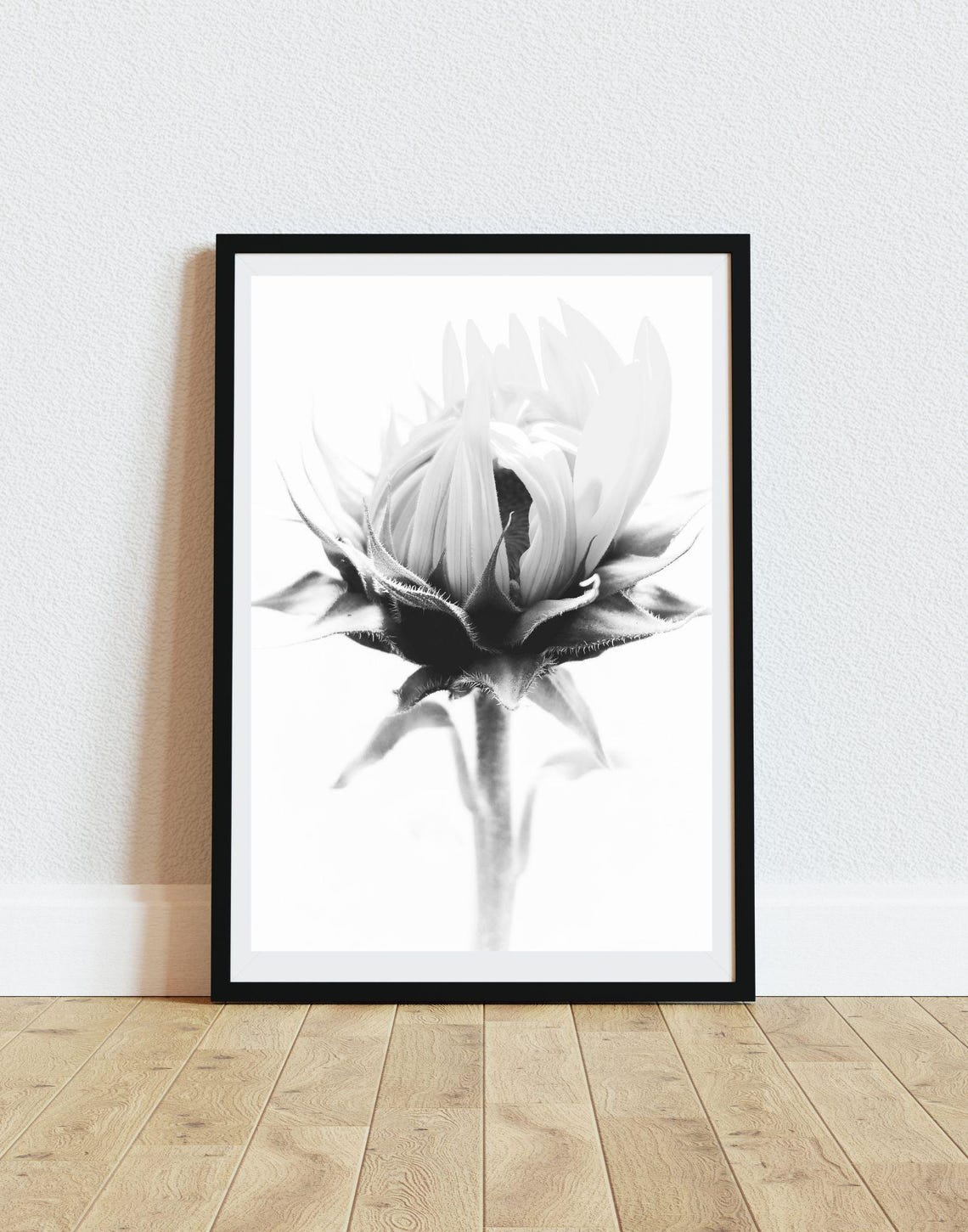 Black And White Flower Bud Close Up Minimalist Botanical Wall Art