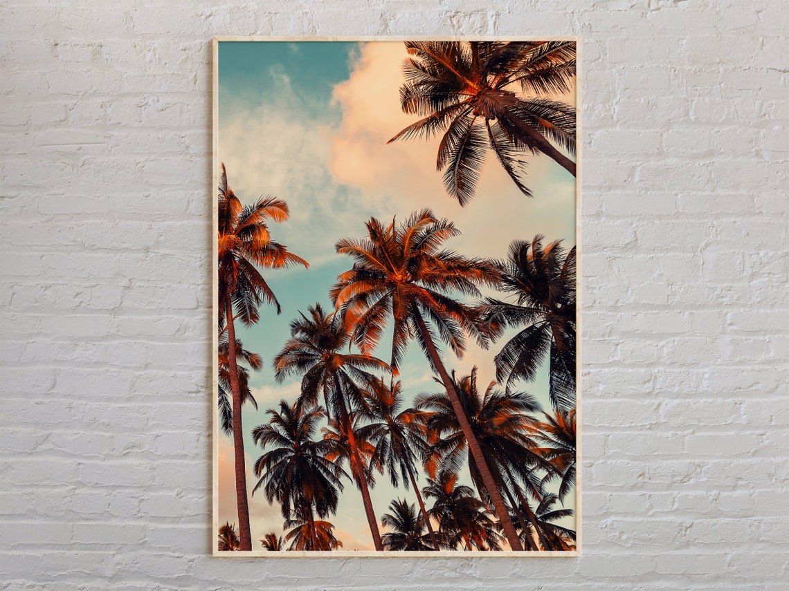 Palm Trees Against a Warm Sunset Sky Tropical Photography Poster