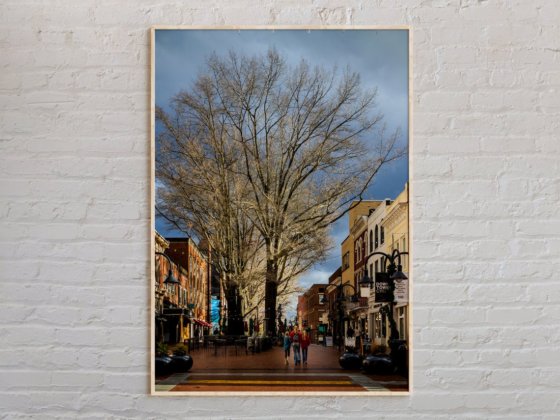 Charlottesville Downtown Mall Historic Brick Street Photo Poster