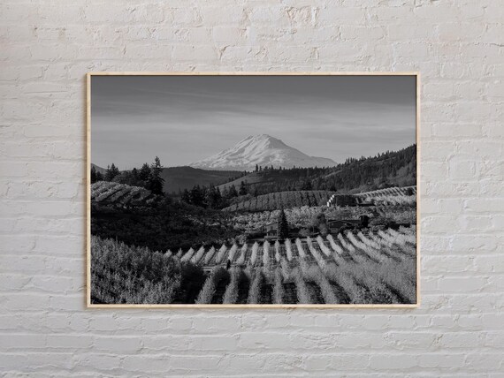 Black and White Oregon Snowcapped Mountain Orchard Valley Photo Poster