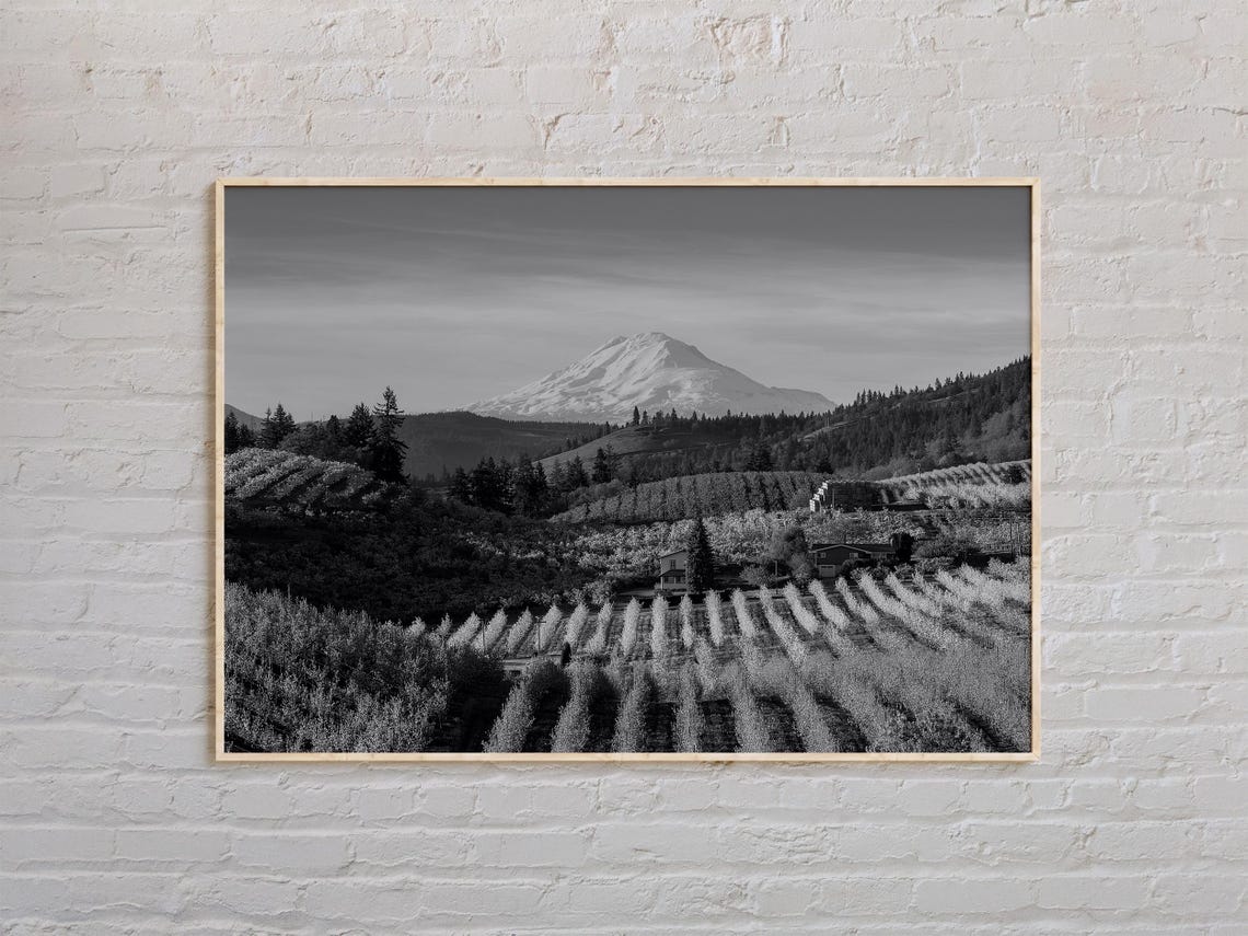 Black and White Oregon Snowcapped Mountain Orchard Valley Photo Poster
