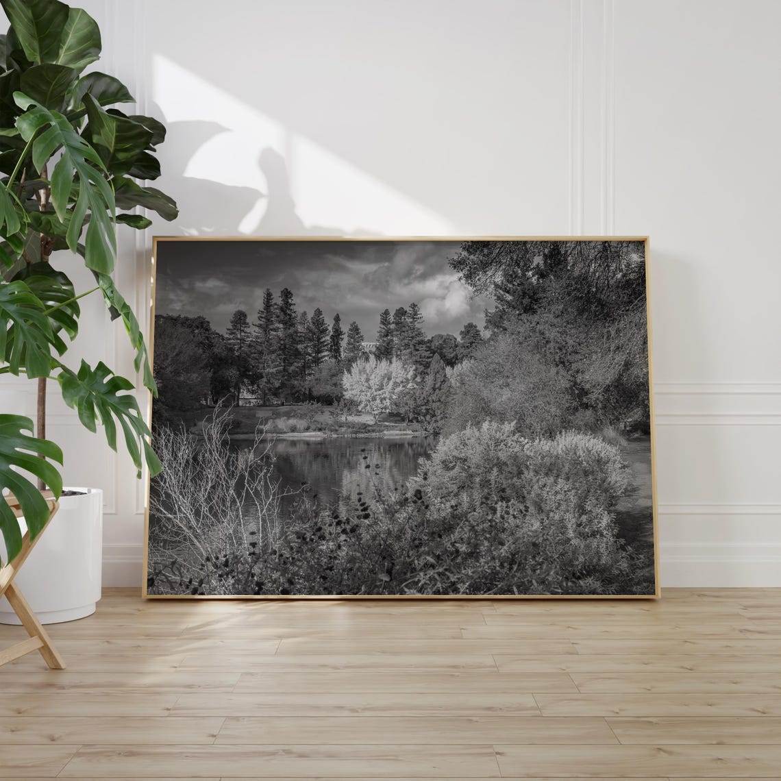 Davis Pond and Towering Trees Under Clouds Black and White Poster - Image 2