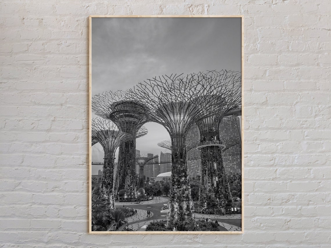 Singapore Supertree Grove Gardens Black and White Photo Poster