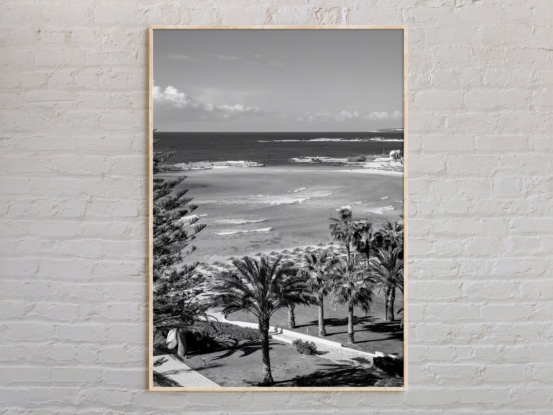 Cyprus Beach Coastline Black and White Palm Trees Photo Poster