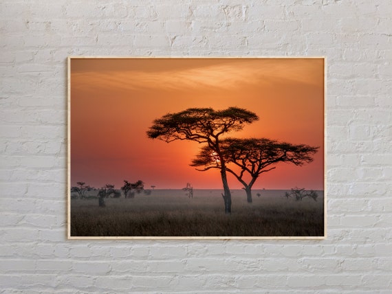 Real Photo Tanzania Print Wall Art Poster Decor Africa
