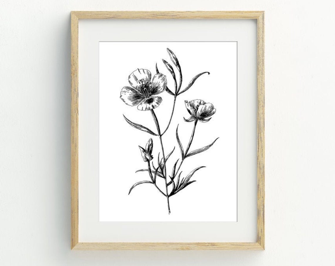Black White Minimalist Wildflower Sketch Botanical Line Drawing Print