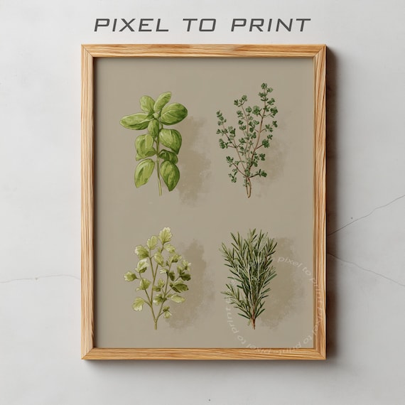 Watercolor Herbs Collection Basil Thyme Parsley Rosemary Kitchen Wall Art