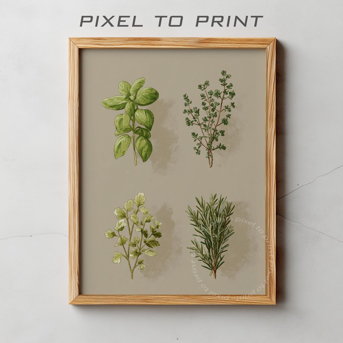 Watercolor Herbs Collection Basil Thyme Parsley Rosemary Kitchen Wall Art