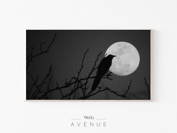 Halloween Crow in Full Moon Art Print
