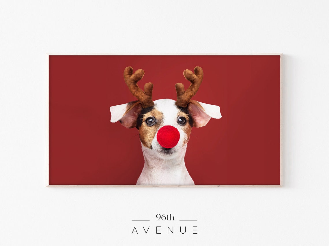 Funny Red Nose Dog Art Print