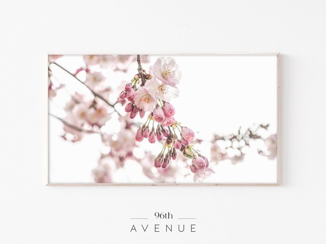 Spring Blossom Art for TV