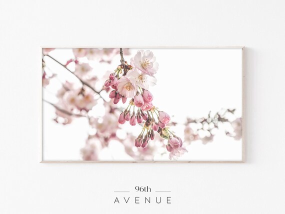 Spring Blossom Art for TV