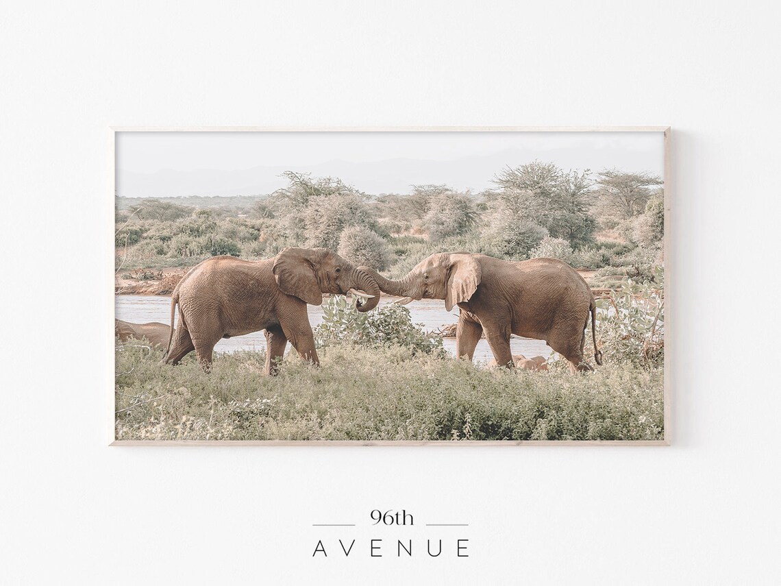 Elephant Art, Instant Art Frame TV Art Print