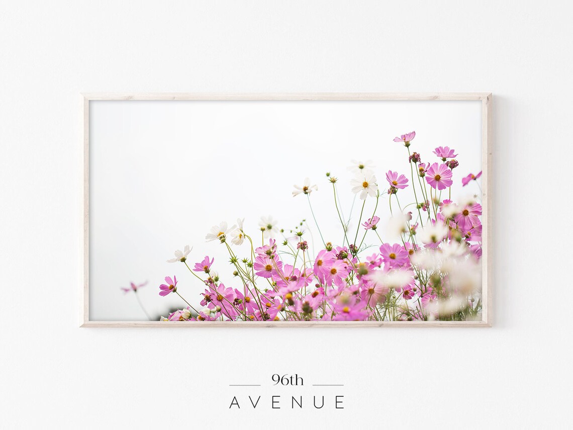 Pink Flowers Frame Tv Art Spring Floral Art For Tv Pretty Cosmos Flowers French Cottage Art 2615tv