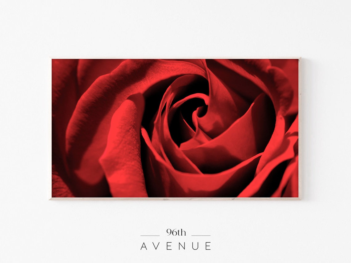 Deep Red Rose Macro Close-Up Romantic Passion Velvet Floral Poster