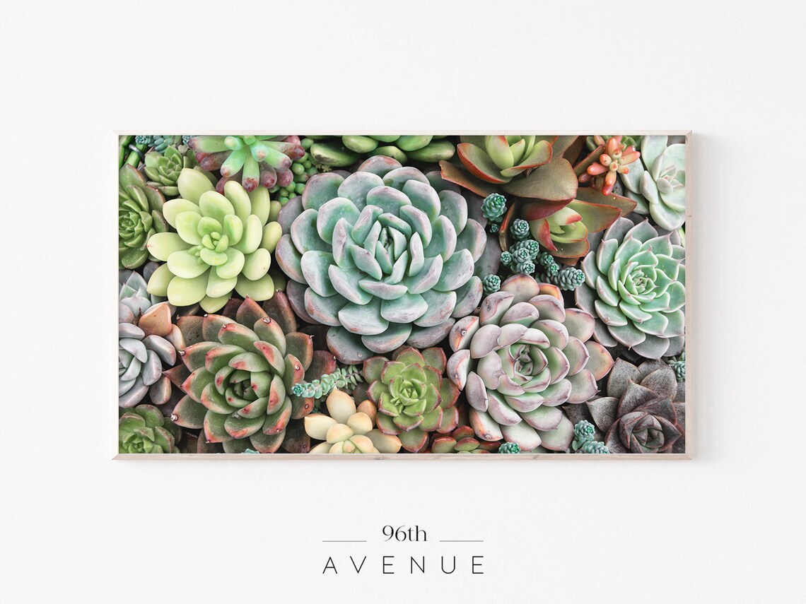 Floral Frame TV Art, Succulent Botanical Print
