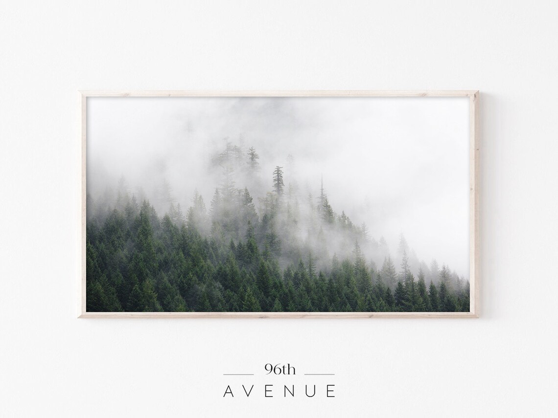 Dense Dark Green Foggy Forest Under Heavy Mist Moody Photo Poster
