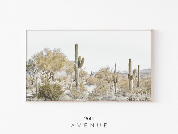 Desert Art Print