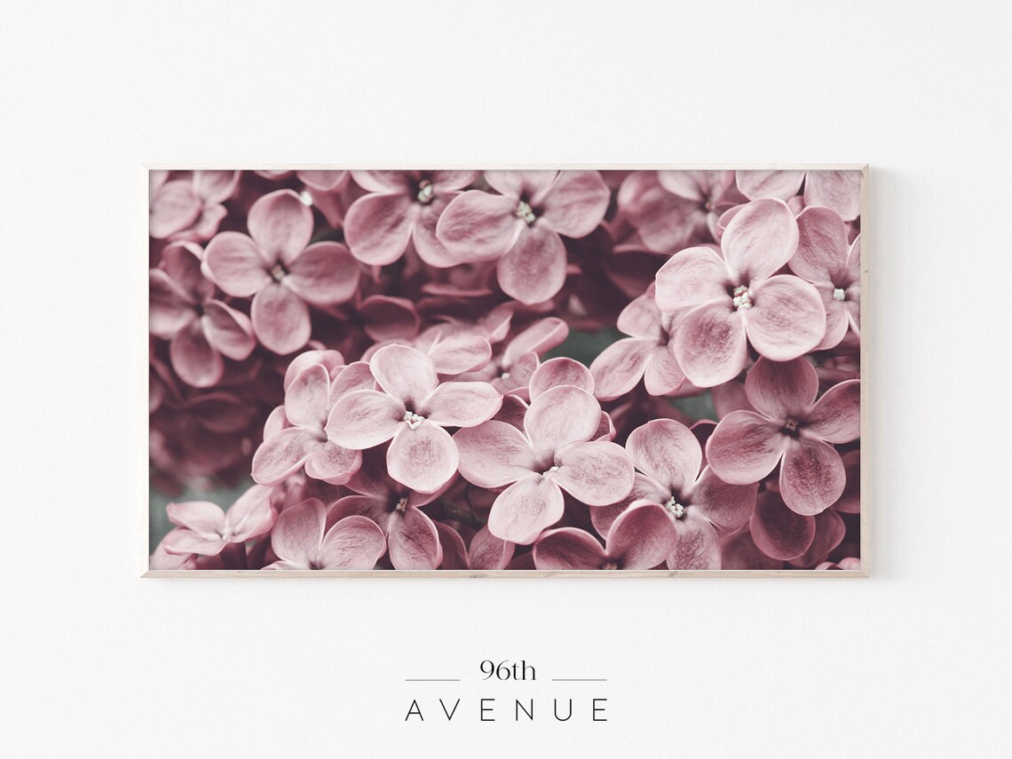 Pink Lilac Blossoms Close Up Floral Photography Spring Blooms Poster