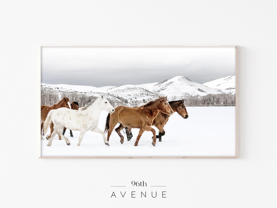 Winter Horses Art Print, Modern Farmhouse Holiday