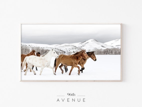 Winter Horses Art Print, Modern Farmhouse Holiday
