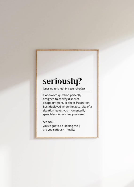 Seriously Funny Wall Art Disbelief Frustration Typography Print Modern Home Decor Sarcastic Quote Art Unique Gift For Family And Friends