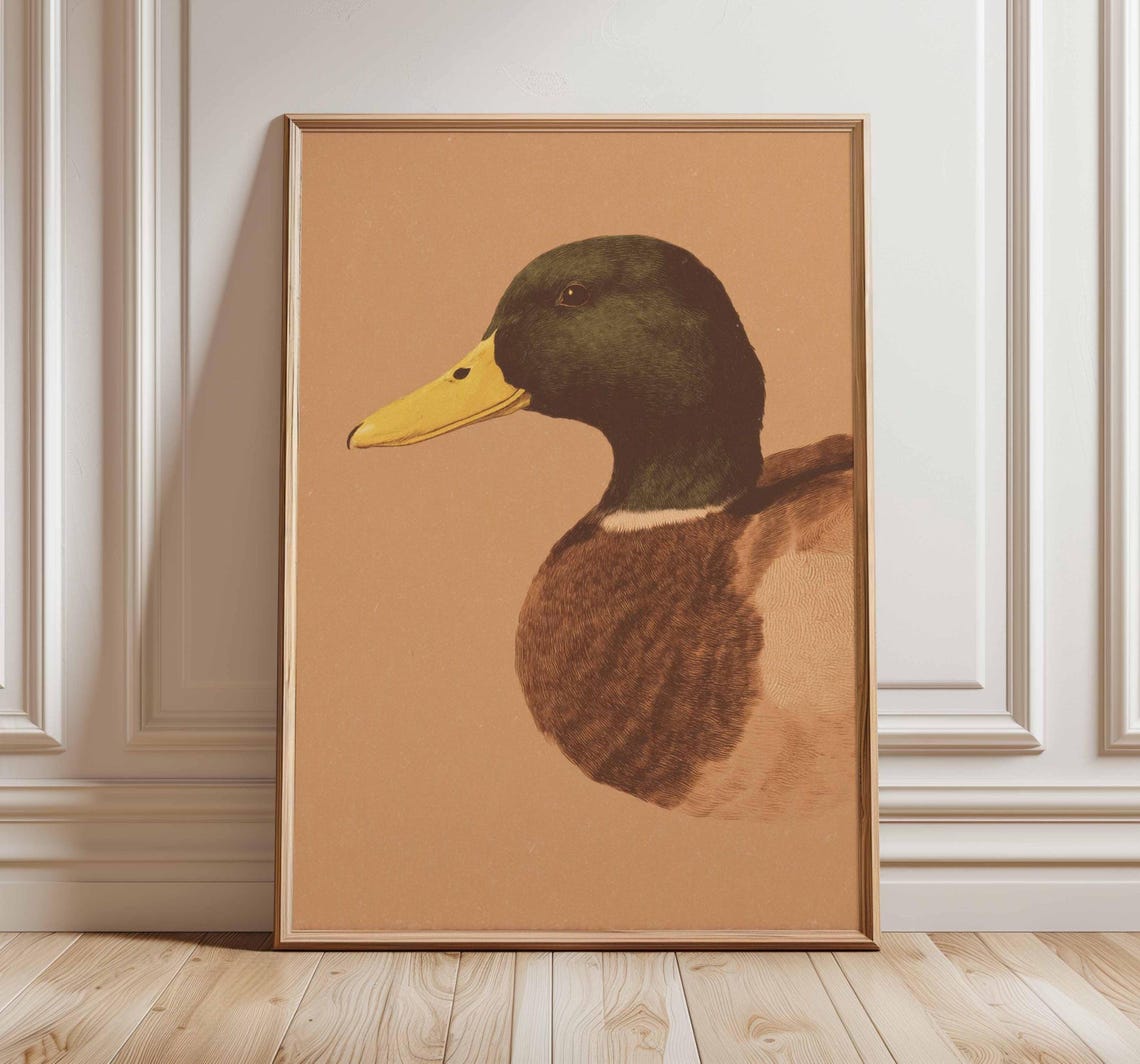 Mallard Duck Profile Vintage Bird Illustration Wildlife Poster