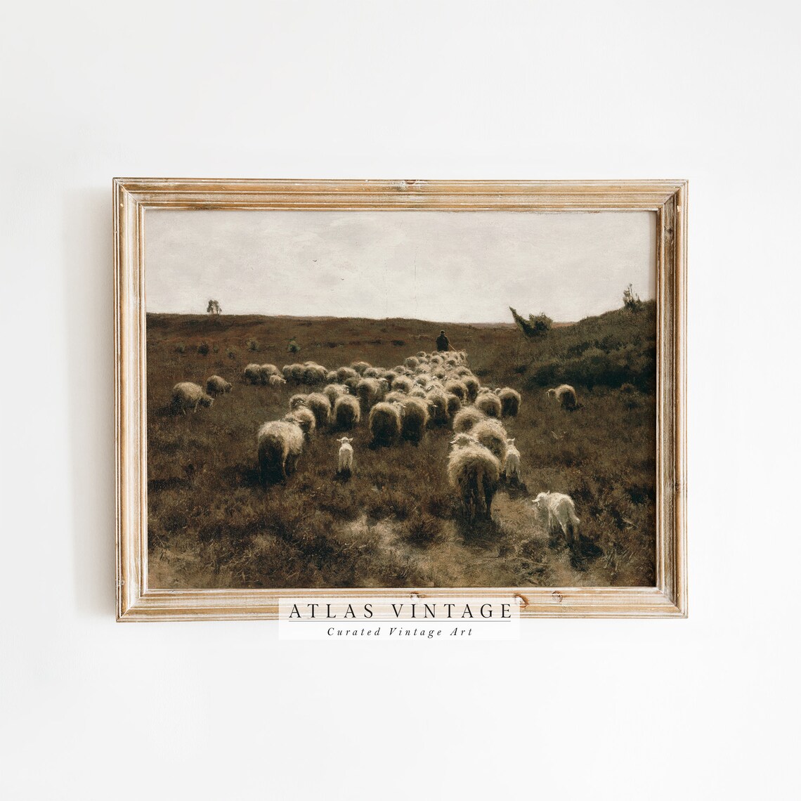 Shepherd Leading Sheep Flock Through Moody Moorland Vintage Painting Poster