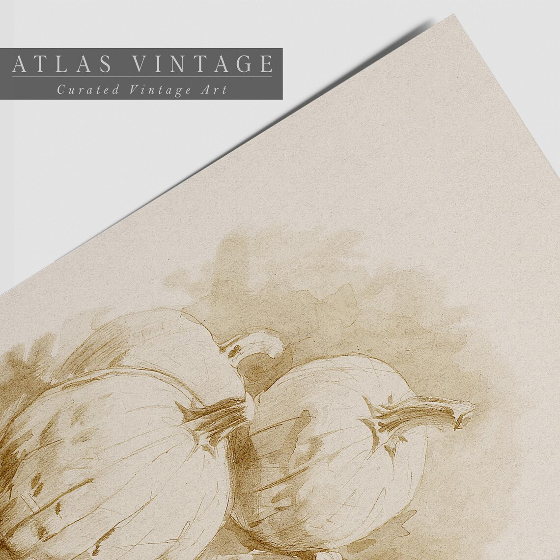 Pumpkins Sepia Sketch Fall Harvest Botanical Illustration Vintage Art Poster - Image 7