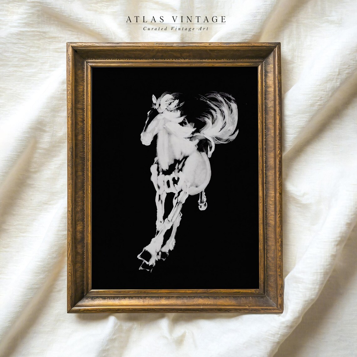Rearing White Horse Asian Brush Painting Black Background Poster