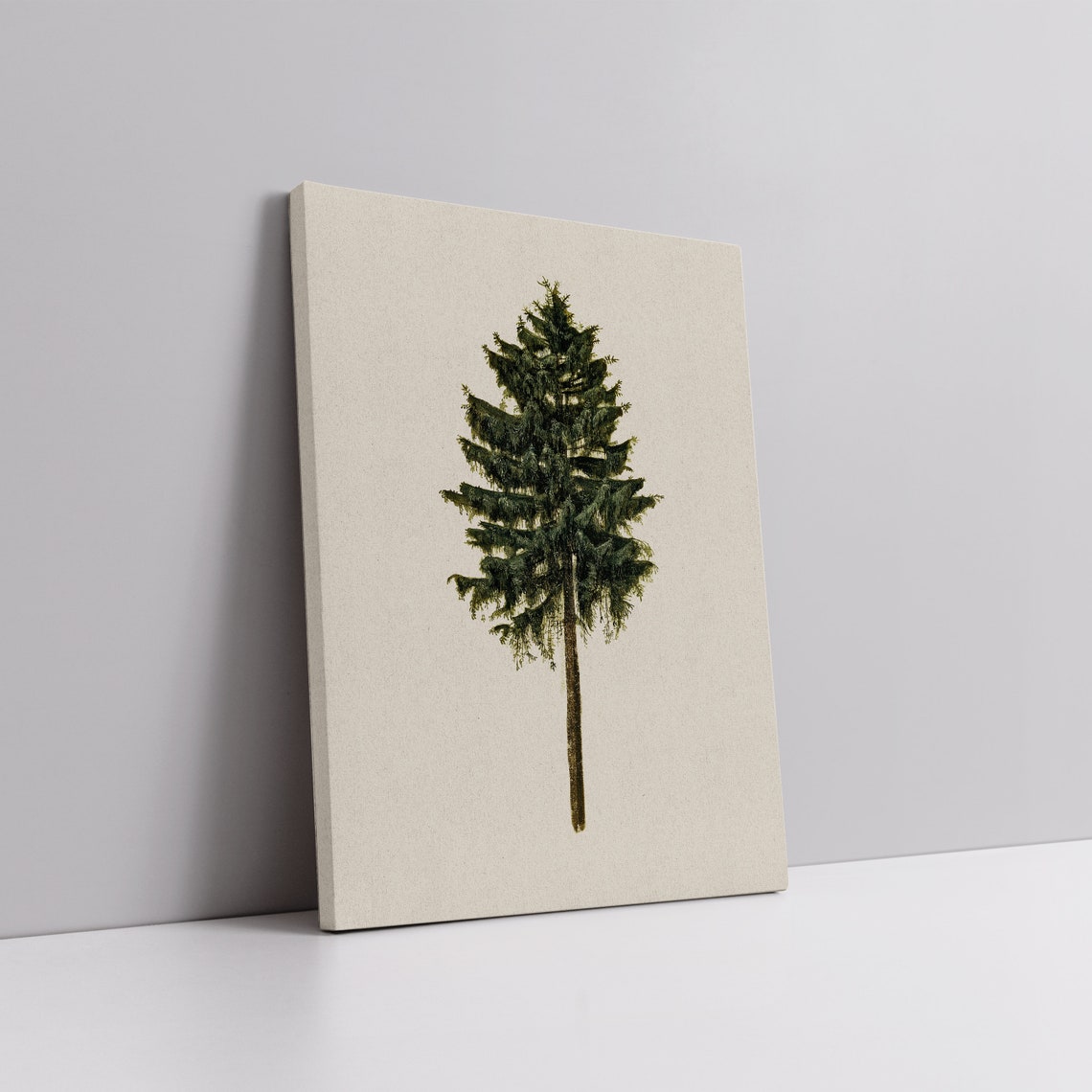 Single Pine Tree Botanical Study Cream Background Art Poster - Image 5