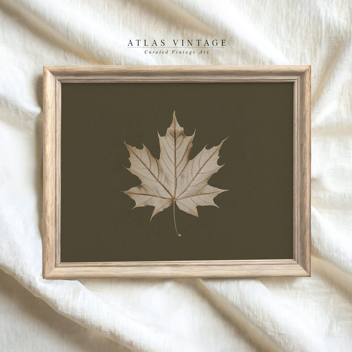 Antique Maple Leaf Skeleton Dark Botanical Vintage Fall Poster - Image 4