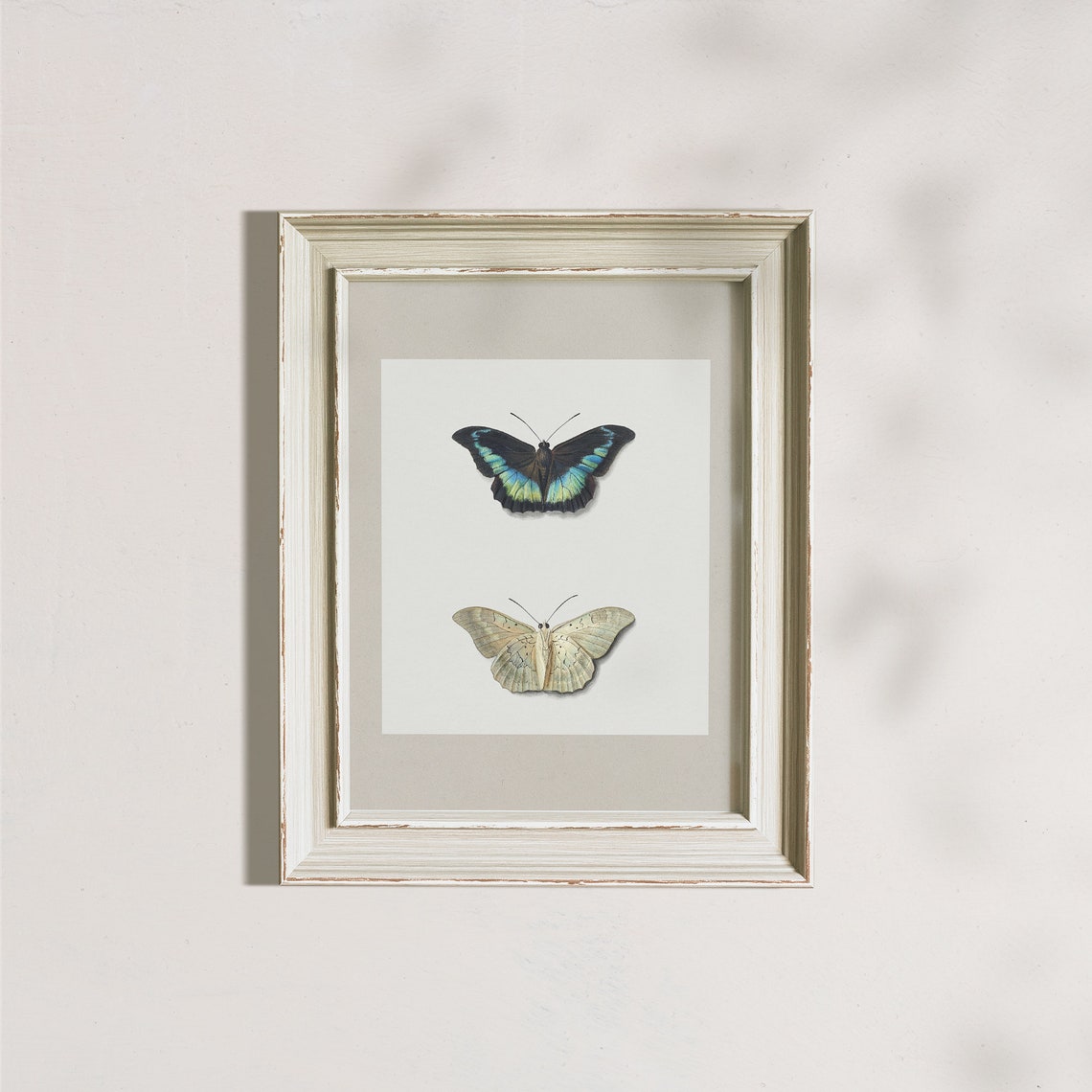 Vintage Butterfly Wall Art Antique Moth Painting Teen Girl Room Wall Decor French Country Wall Art Farmhouse Decor - Image 7