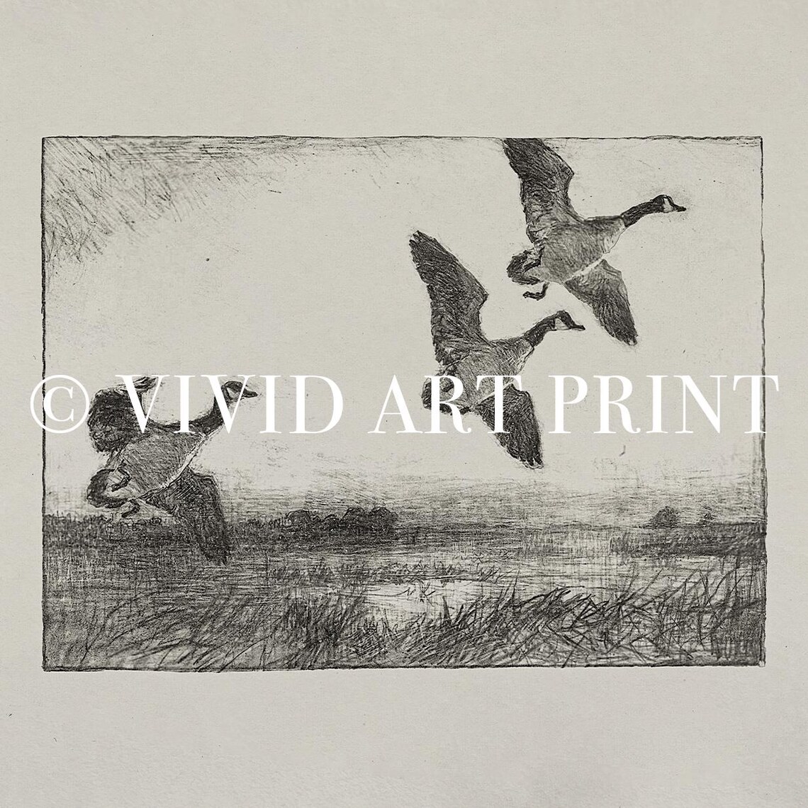 Vintage Geese Flight Sketch, Rustic Wildlife Art Print - Image 4