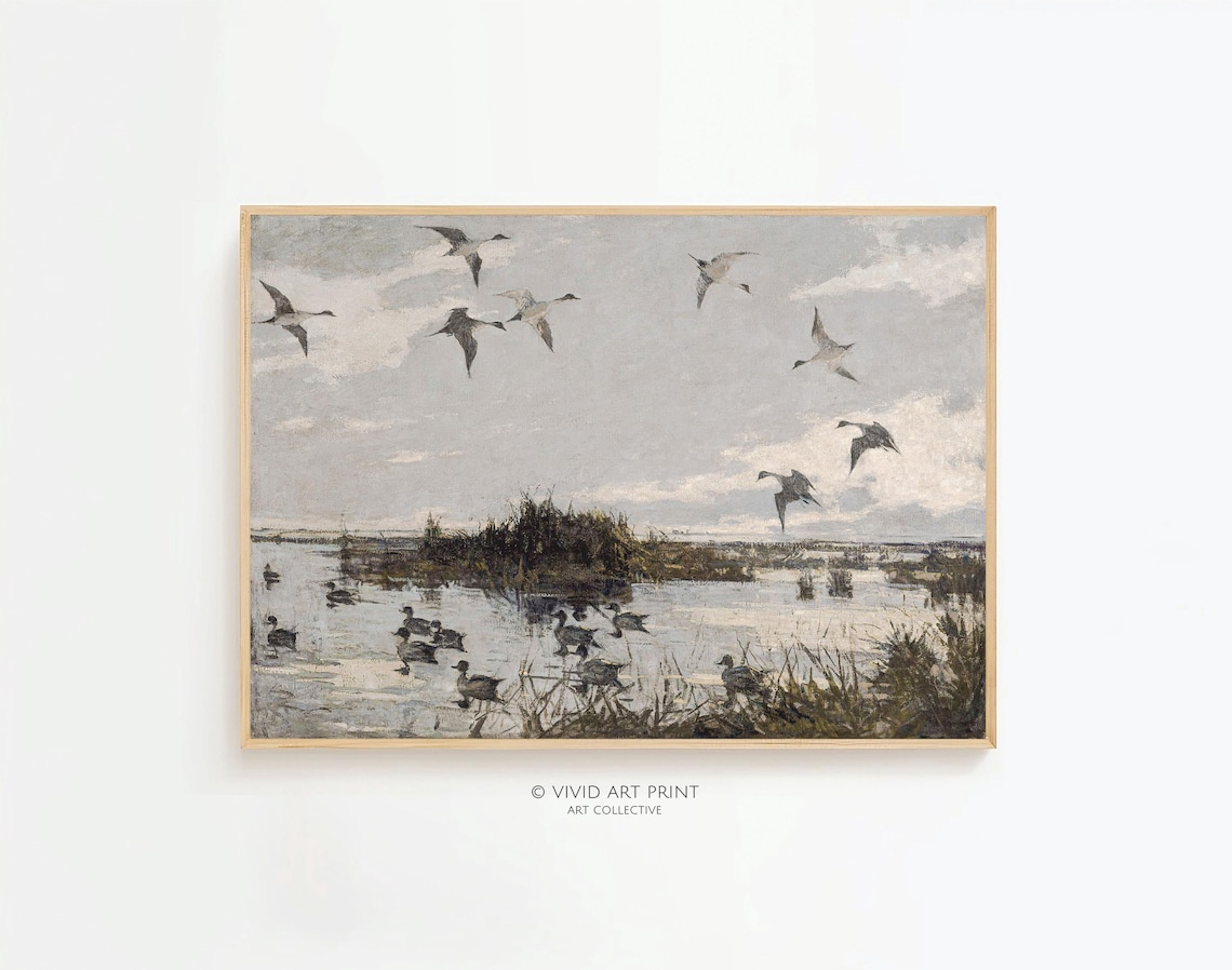 Vintage Marsh Birds, Classic Nature Art Print