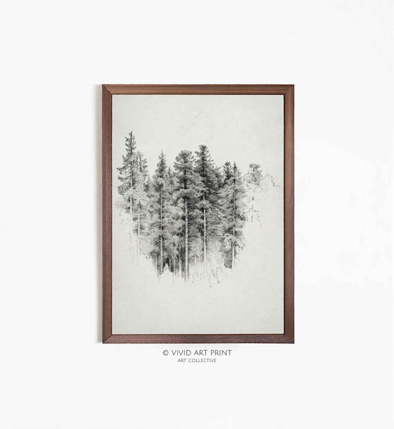 Pine Tree Forest Pencil Drawing Art Vintage Nature Home Decor Vivid Art Print Pf 307