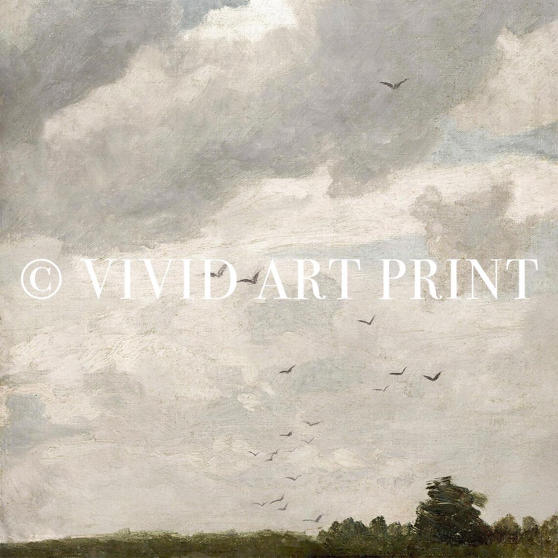 Vintage Cloudscape, Romantic Sky And Birds Study - Image 4
