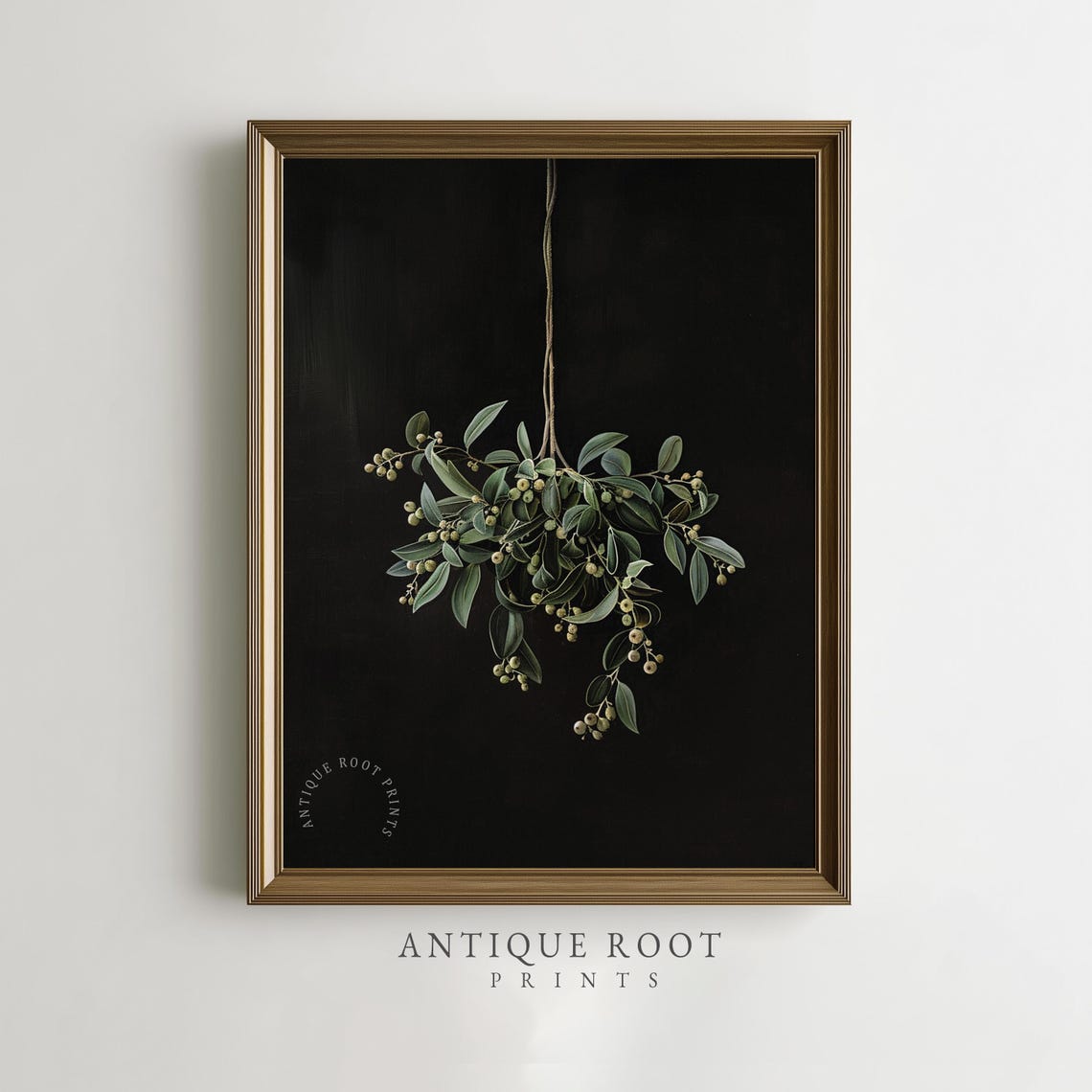Hanging Mistletoe Branch Black Background Botanical Vintage Art Print