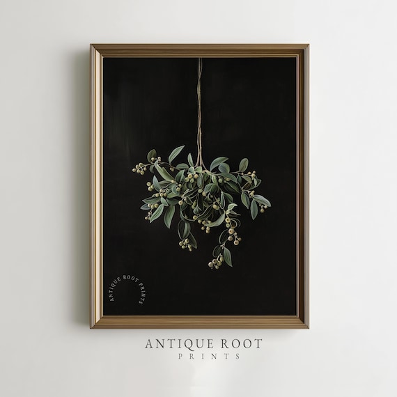 Vintage Mistletoe Botanical Illustration Print Moody Farmhouse Holiday Wall Art Rustic Winter Decor Minimalist