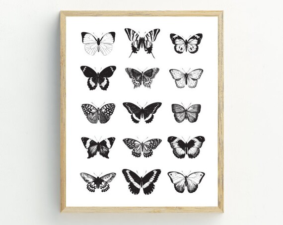 Butterflies Monochrome Butterfly Art Print, Black And White