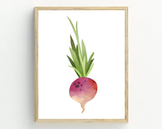 Radish Print Radish Kitchen Wall Art Radish Vegetable Print Minimalist Wall Art 5x7 8x10 11x14
