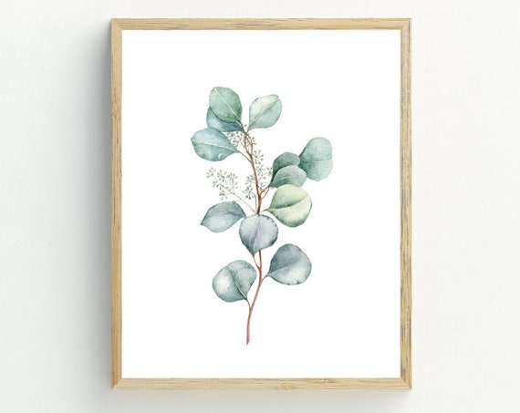 Eucalyptus Leaf Watercolor Art Print, Botanical Decor